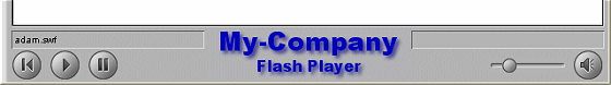 The Flash player with a user logo
